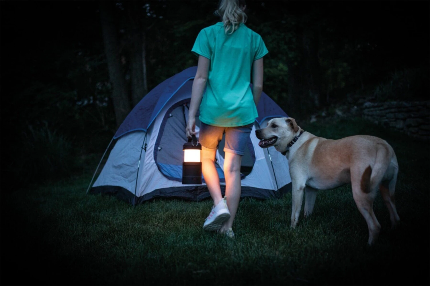 Nebo BIg Poppy RC Lantern 7 Nebo BIg Poppy RC Lantern - Image 7